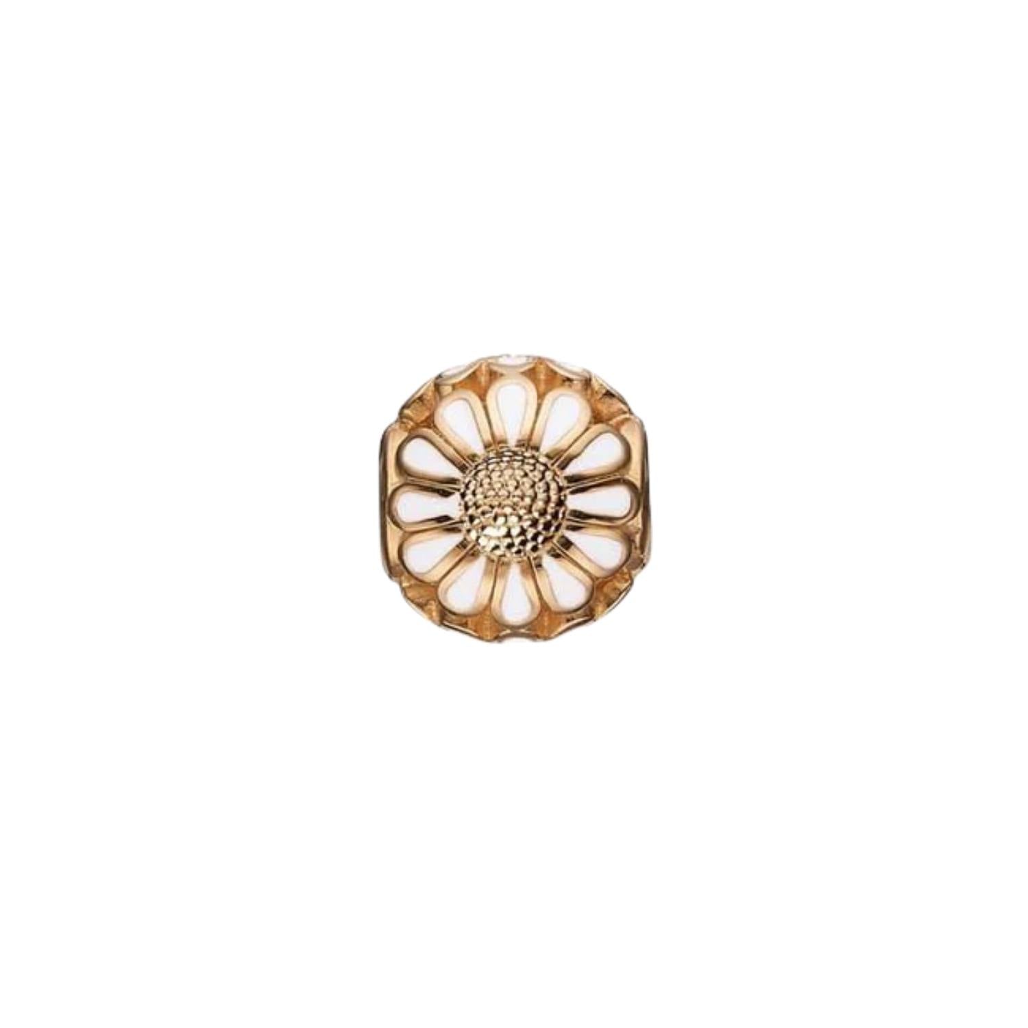 DETAIL255782